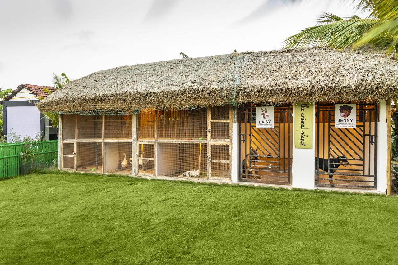 Viceroy Beach And Spa Resort Mandarmani Bagian luar foto
